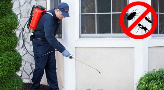 Kazan Hamam Böceği İlaçlama böcek ilaçlama ve haşere kontrolü — ilaclama-tr.com